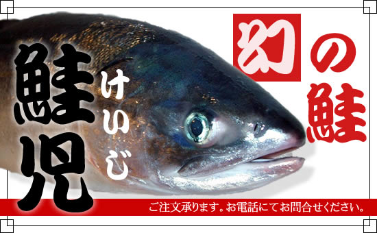 幻の鮭・鮭児(ケイジ)