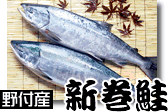 野付産・新巻鮭